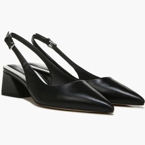 Franco Sarto Racer Slingback Pointed Toe Pump in Black | US 6.5W